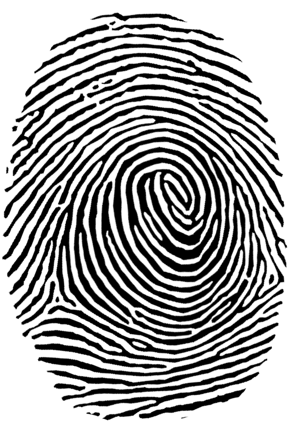Fingerprint